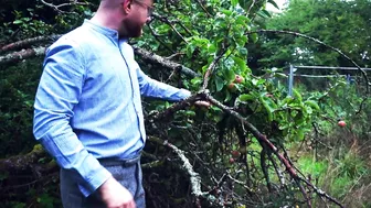 A Visit To The Woodshed - Pandora Disciplines The Garden Hand