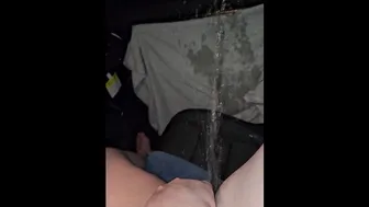 Car Piss