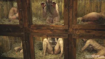 Horrorporn - Rabbit Hutch