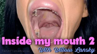 Inside My Mouth 2 - Willow Lansky - Hd 720 Wmv