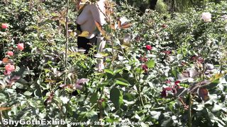 Teaser - Flashing In A Loose Dress At A Lovely Rose Garden